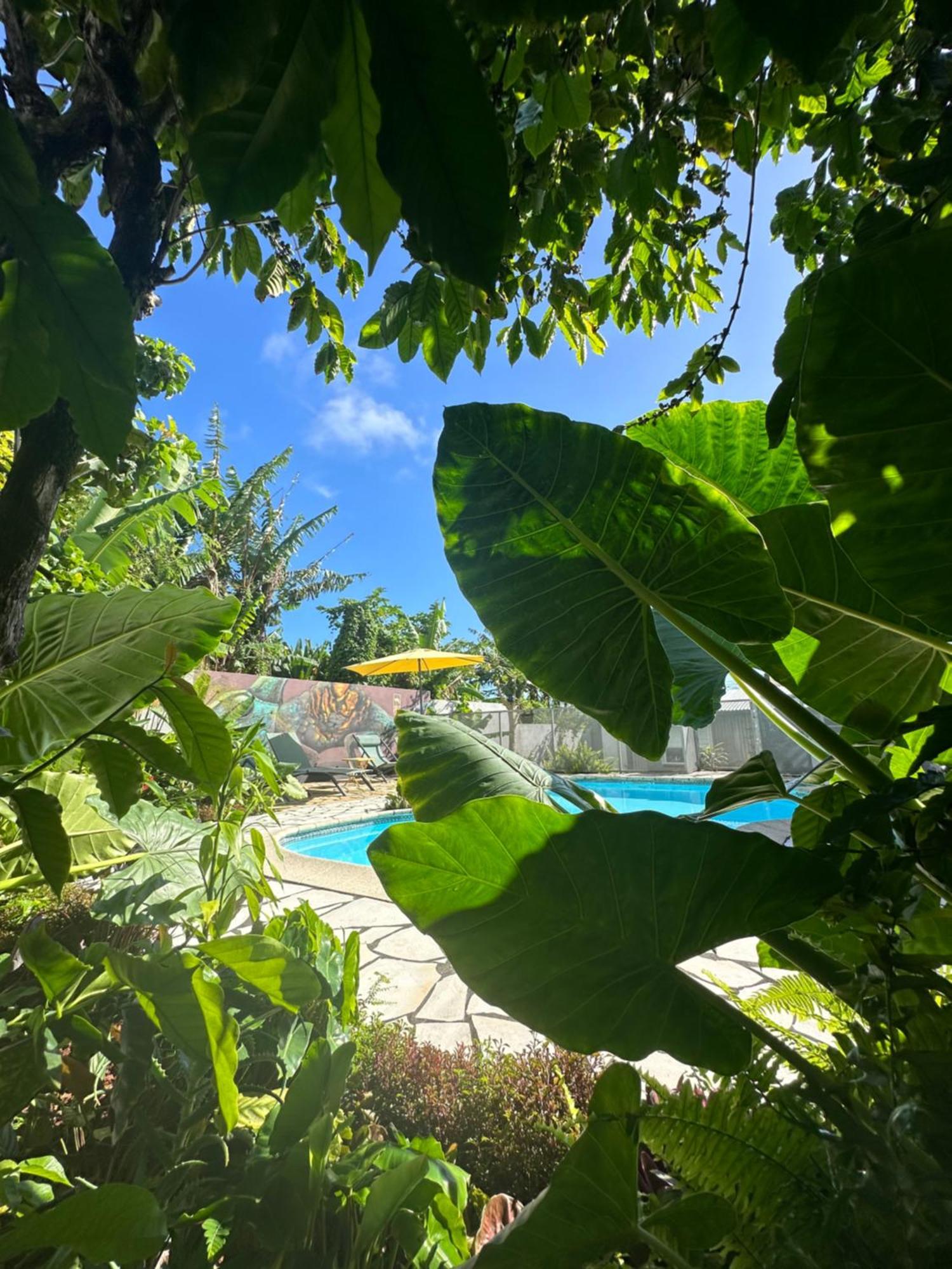 Lendormi - Maison Avec Piscine - Sainte Rose Exteriér fotografie